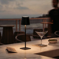 Cordless dimmable tall table lamp with sleek metal stem and warm LED light.