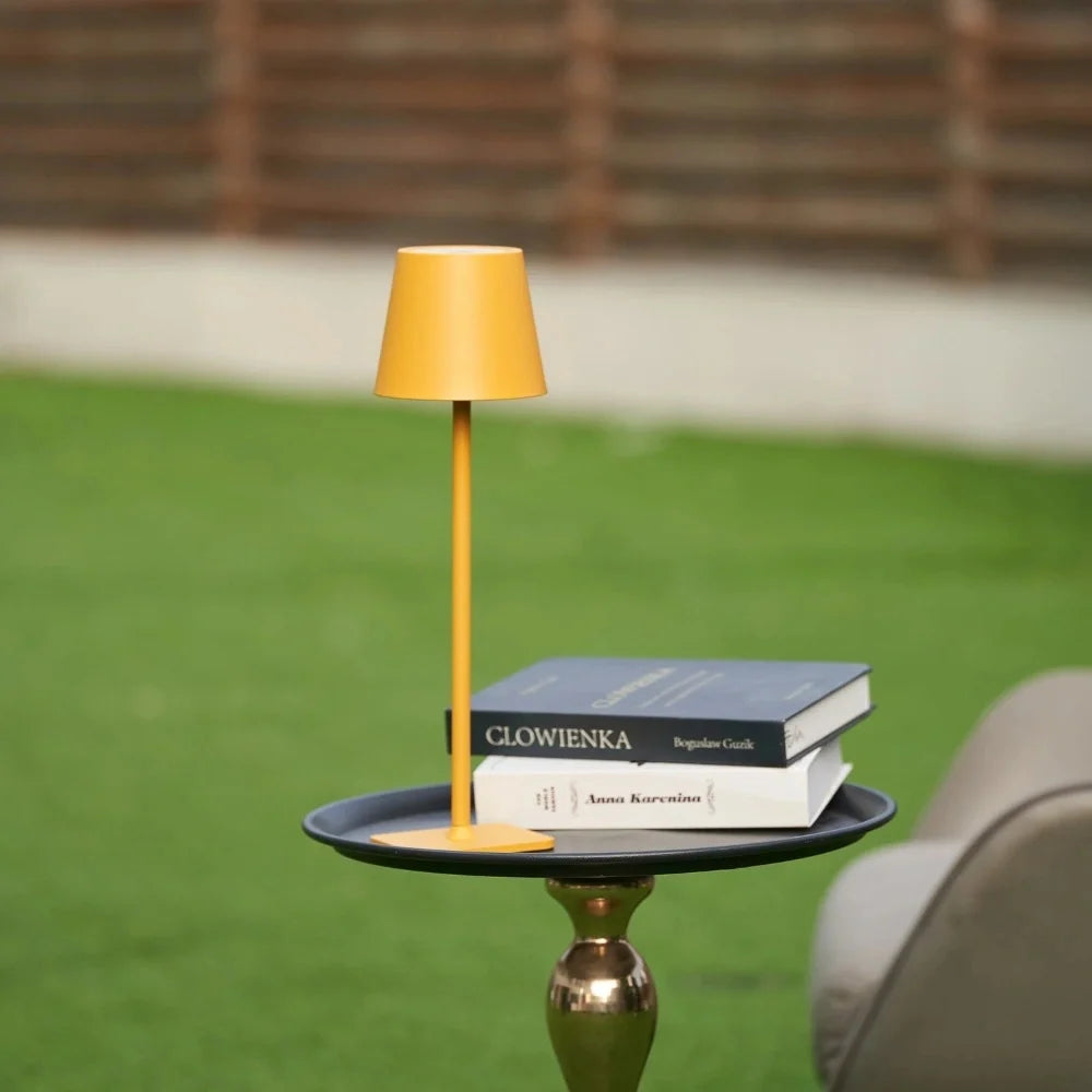 Cordless dimmable tall table lamp with sleek metal stem and warm LED light. 10