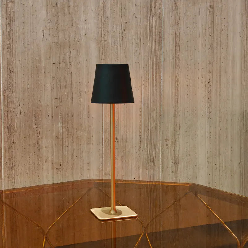 Cordless dimmable tall table lamp with sleek metal stem and warm LED light. 12
