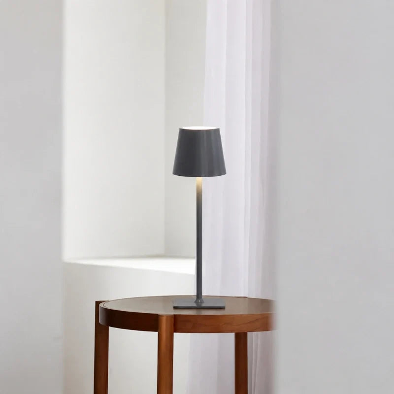 Cordless dimmable tall table lamp with sleek metal stem and warm LED light. 17
