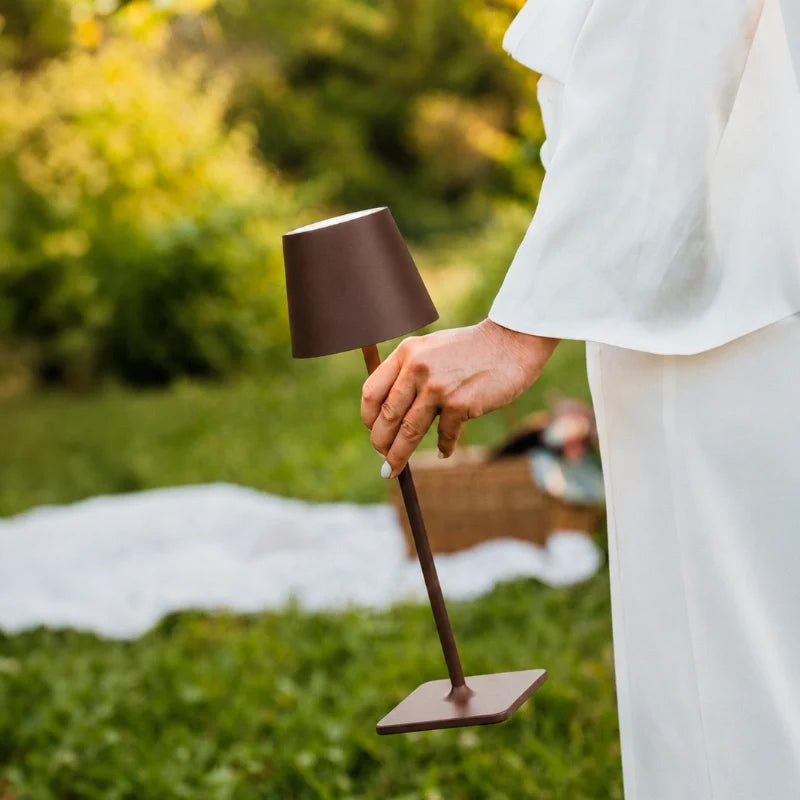 Cordless dimmable tall table lamp with sleek metal stem and warm LED light. 25