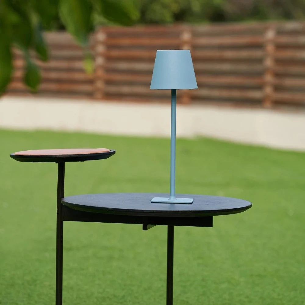 Cordless dimmable tall table lamp with sleek metal stem and warm LED light. 5