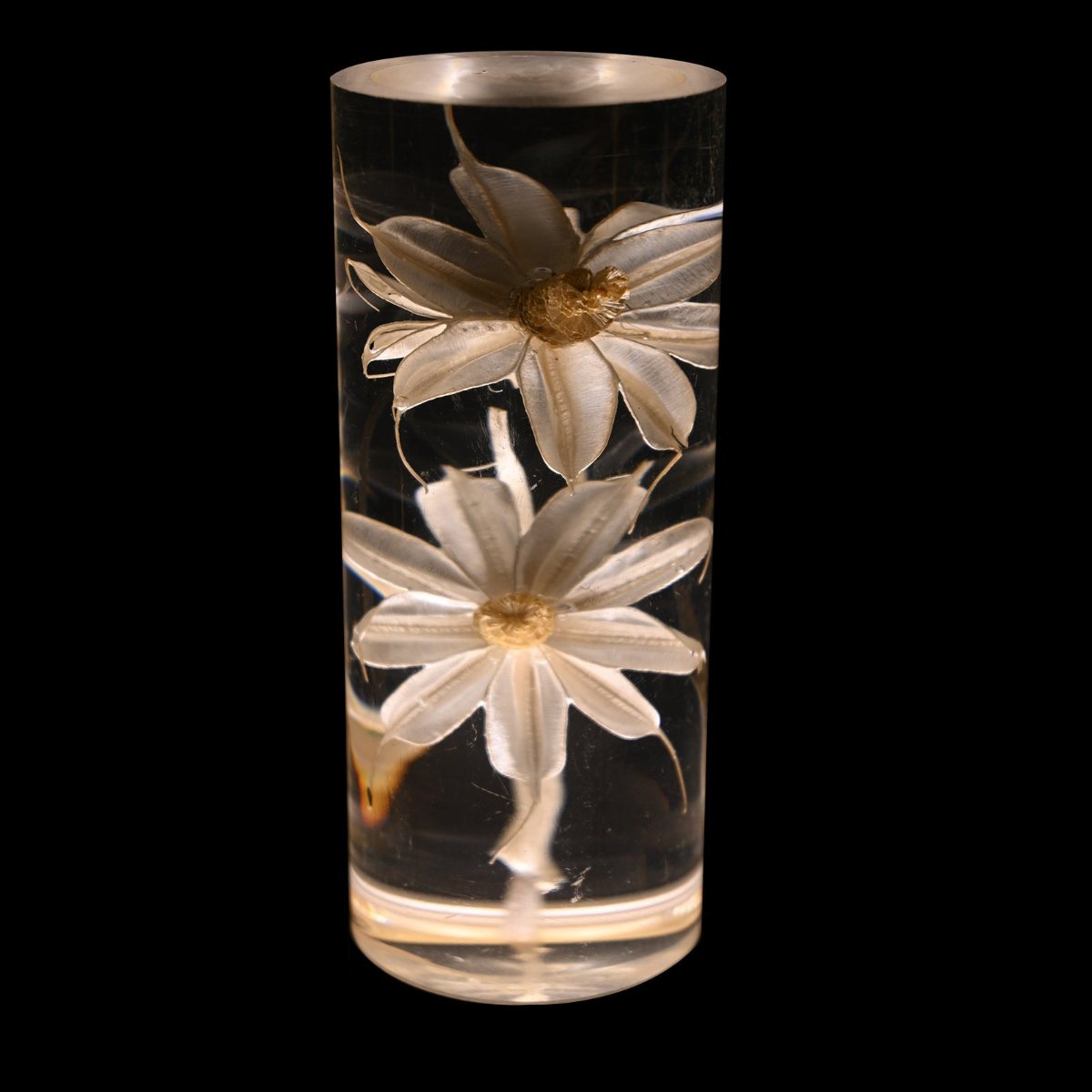 Floral Eternal Blossom rechargeable table lamp with embedded real flowers and tri-color LED lighting 7