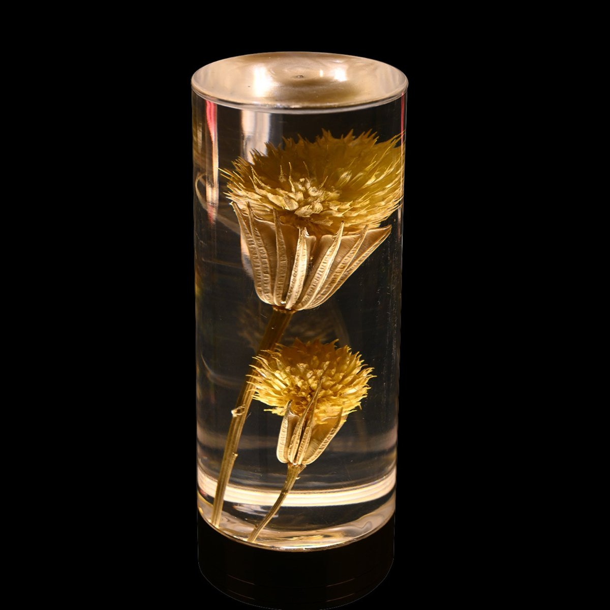 Floral Eternal Blossom rechargeable table lamp with embedded real flowers and tri-color LED lighting 8