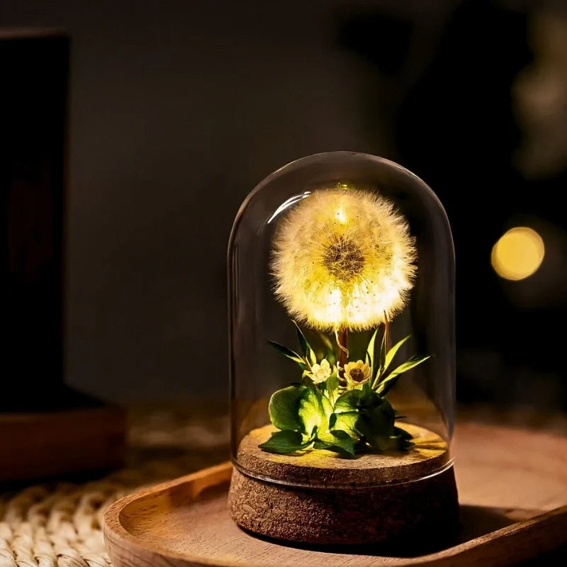 Luminous EternaBloom night light with preserved dried flowers in glass dome, warm white ambient glow 11