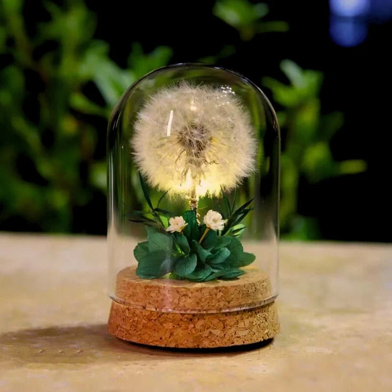 Luminous EternaBloom night light with preserved dried flowers in glass dome, warm white ambient glow 13