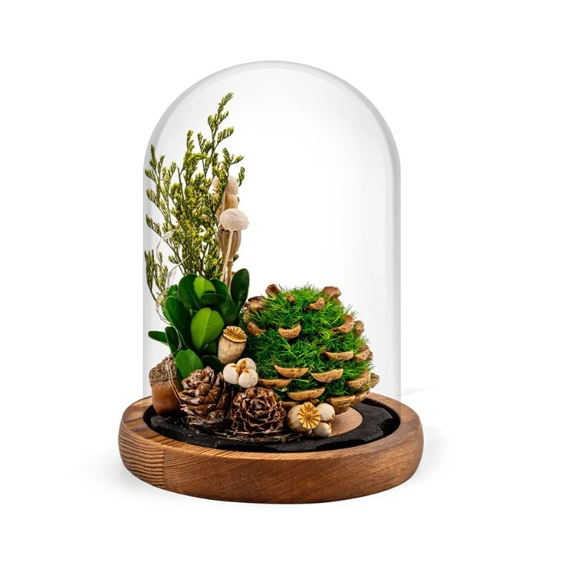 Luminous EternaBloom night light with preserved dried flowers in glass dome, warm white ambient glow 14