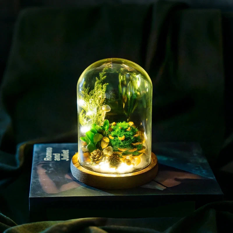 Luminous EternaBloom night light with preserved dried flowers in glass dome, warm white ambient glow 15
