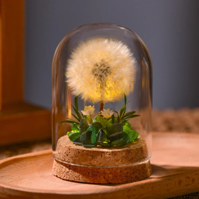 Luminous EternaBloom night light with preserved dried flowers in glass dome, warm white ambient glow 3