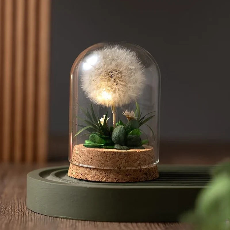 Luminous EternaBloom night light with preserved dried flowers in glass dome, warm white ambient glow 5