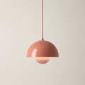 Stylish adjustable iron pendant light for modern interiors.