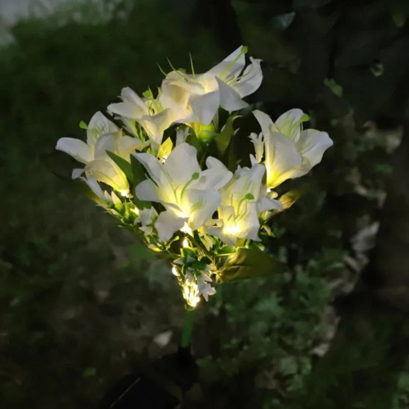 Solar flower lights with realistic blooms in warm and cool white colors for garden decoration 23